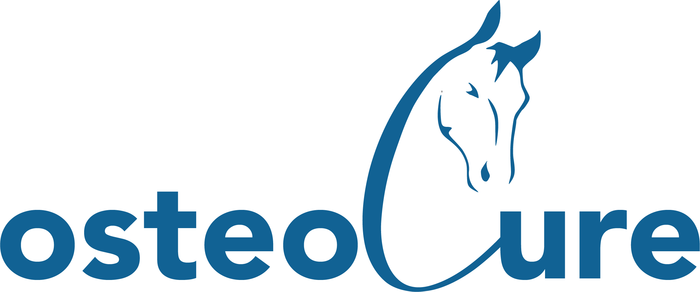 OsteoCure